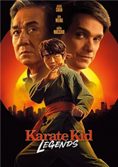 TWIERDZA - KARATE KID. LEGENDY